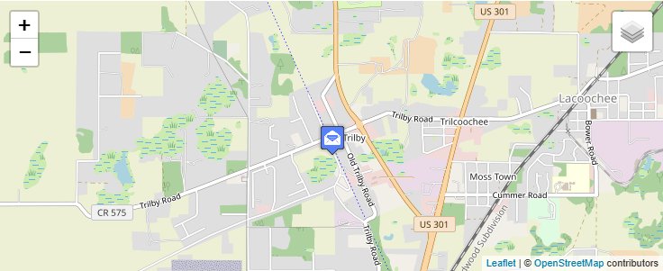 Map of ZIP Code 33593 in Trilby, FL — click to open interactive map