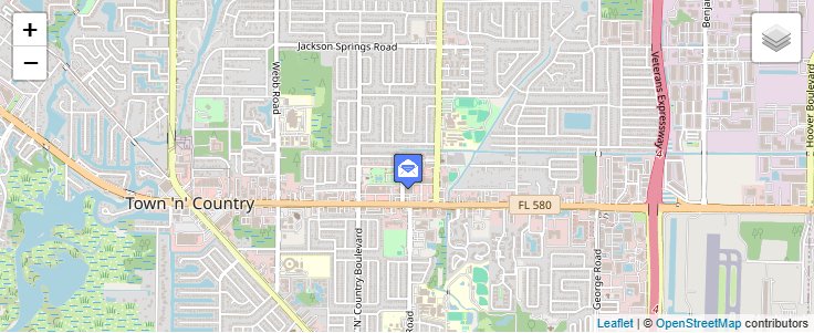 Map of ZIP Code 33685 in Tampa, FL — click to open interactive map