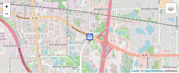 Map of ZIP Code 33689 in Tampa, FL — click to open interactive map